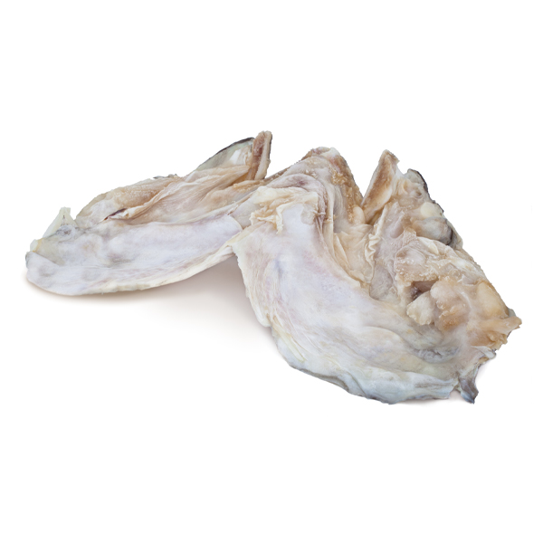 Codfish Faces